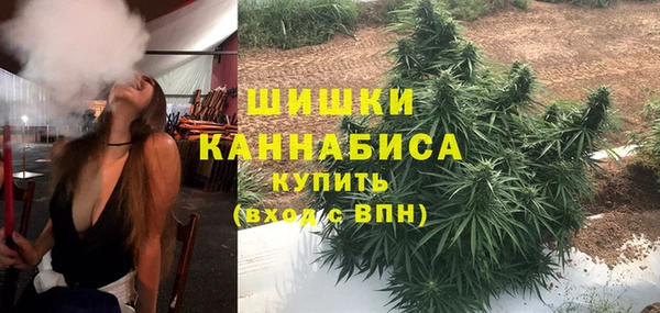 сатива Алзамай