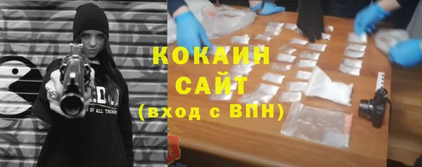 молекула духа Алексеевка