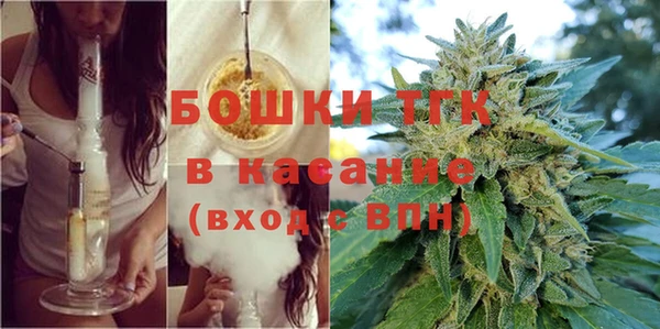 сатива Алзамай