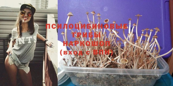 Альфа ПВП Арсеньев