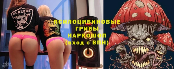 сатива Алзамай