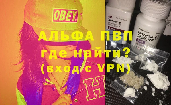 сатива Алзамай