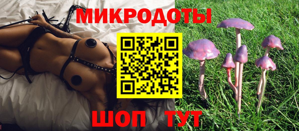 Псилоцибиновые грибы Cubensis  Галлюциногенные грибы Cubensis  Вход с VPN  Пушкино 